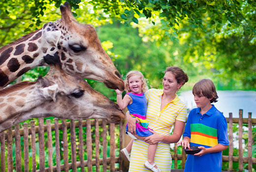 family at zoo with giraffes